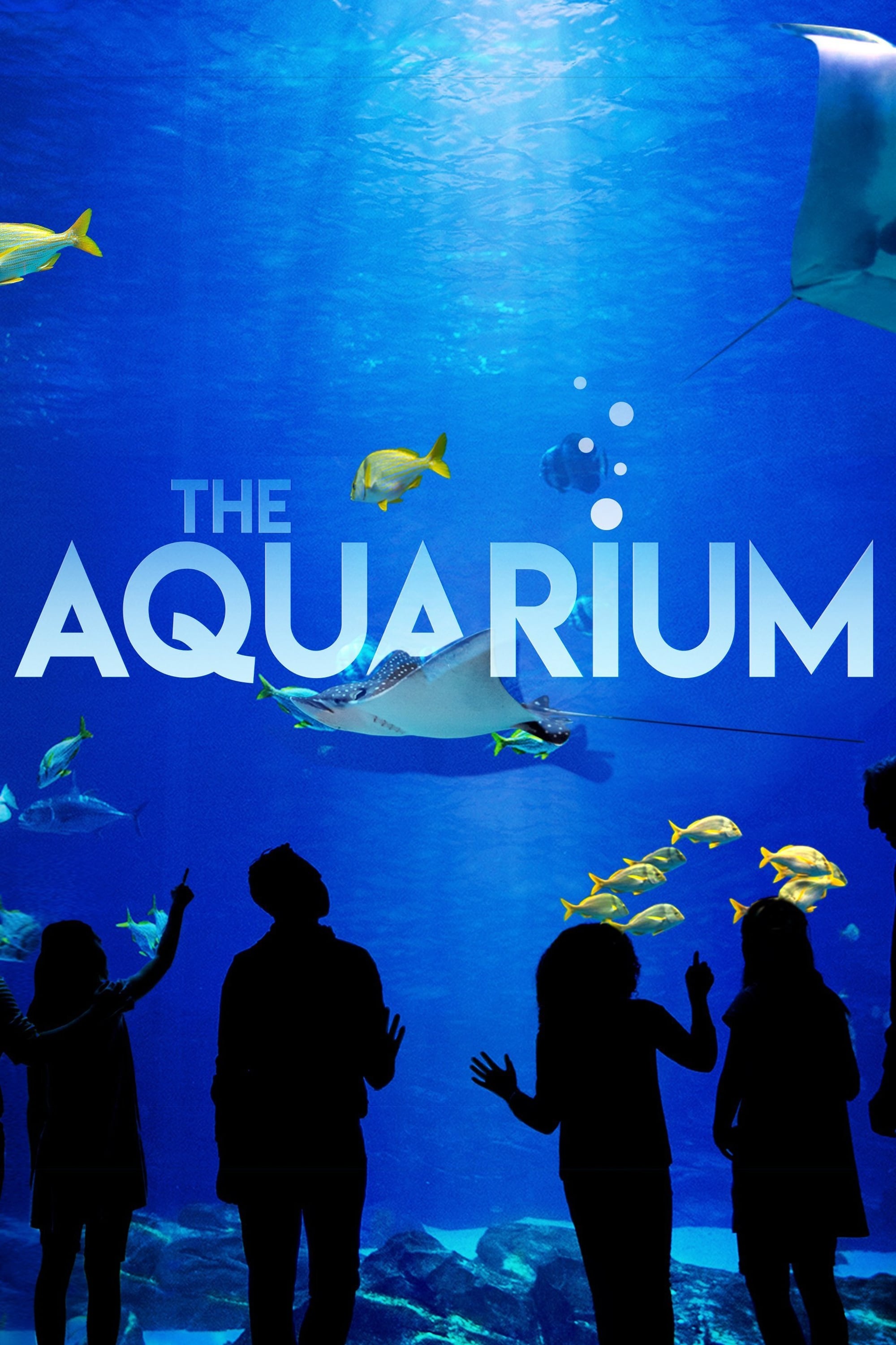 The Aquarium | The Aquarium