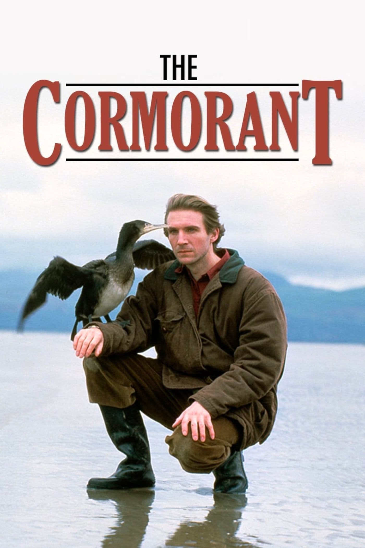 The Cormorant | The Cormorant