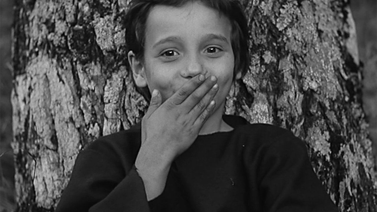 تصویر 0