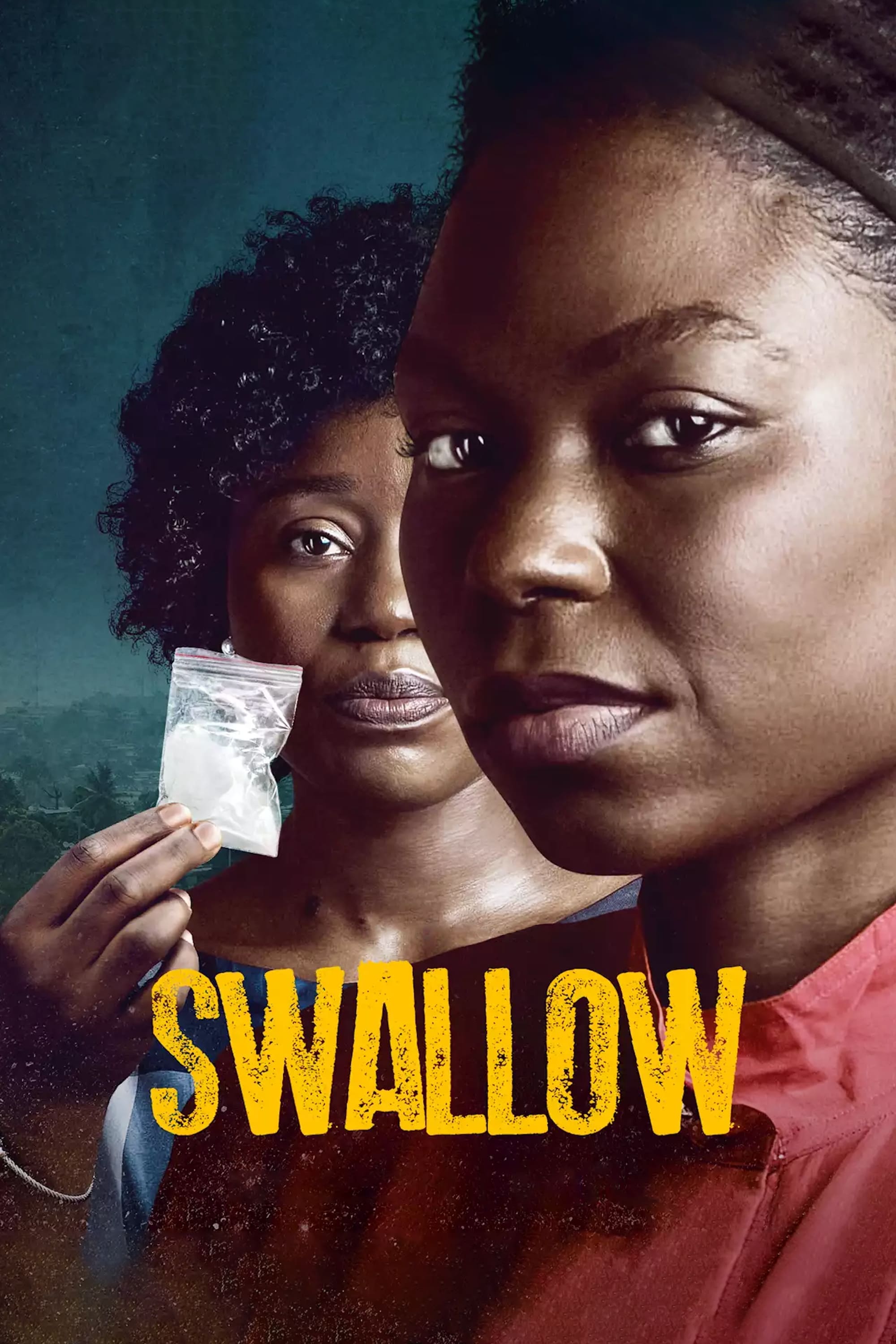 Swallow | Swallow