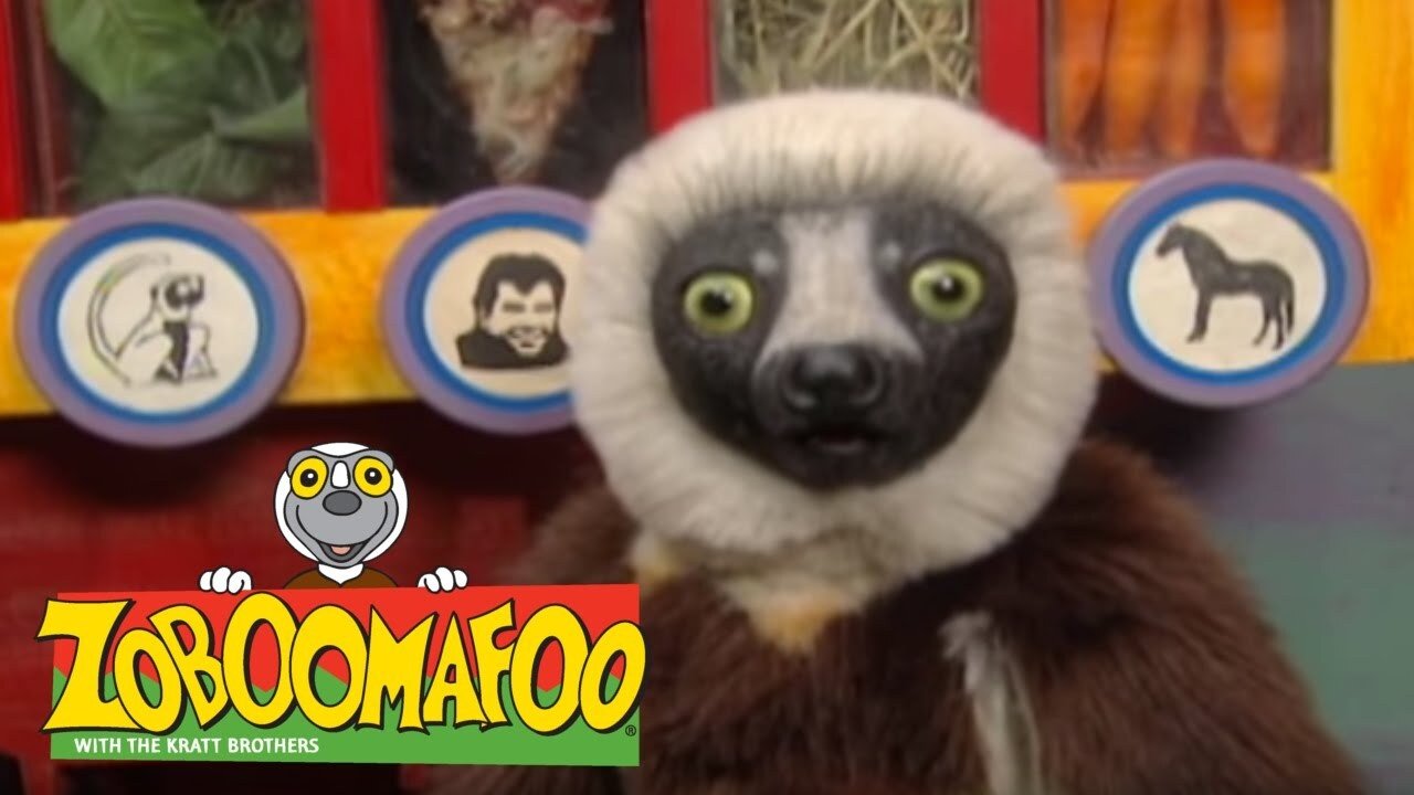 Zoboomafoo|Zoboomafoo
