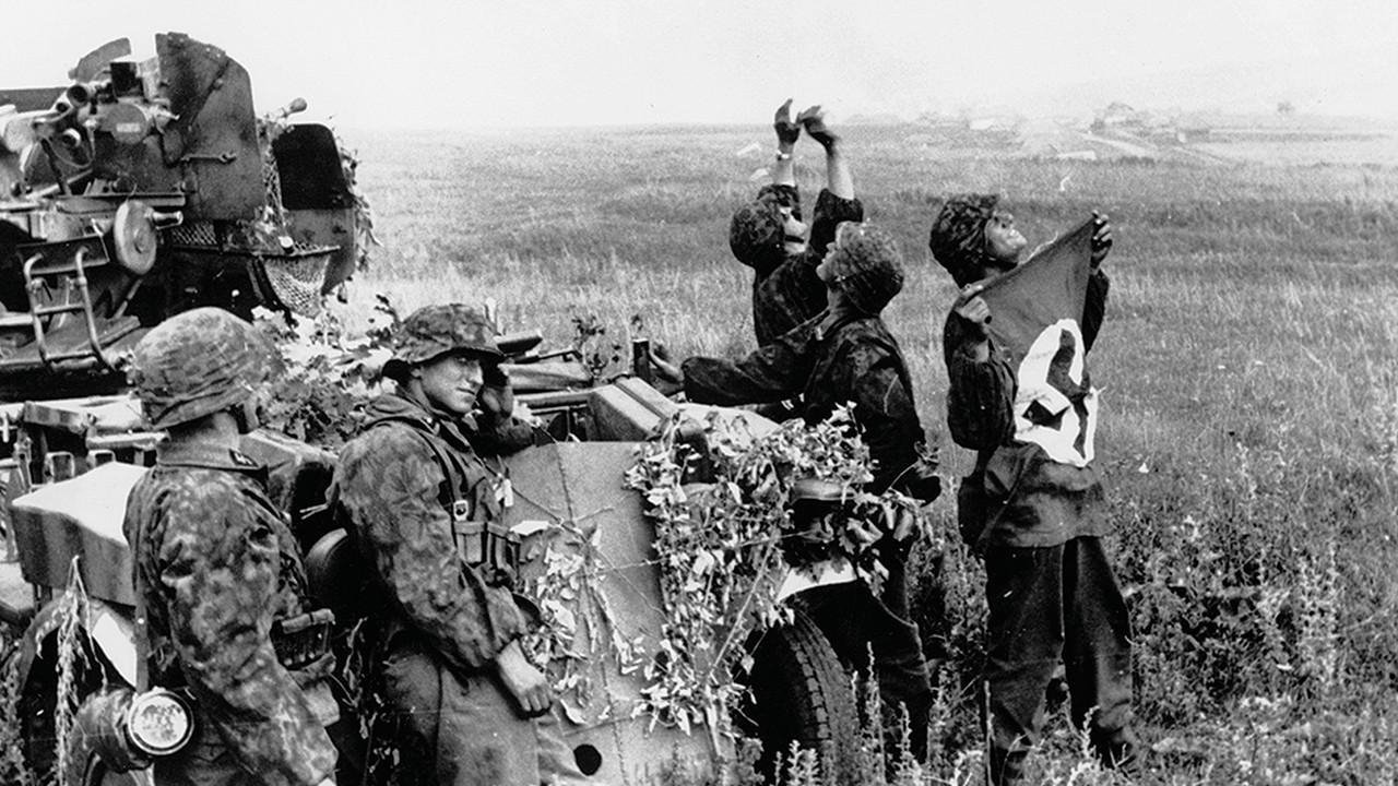 Das Reich, une division SS en France (6 juin 1944-8 mai 1945)|Das Reich, une division SS en France (6 juin 1944-8 mai 1945)