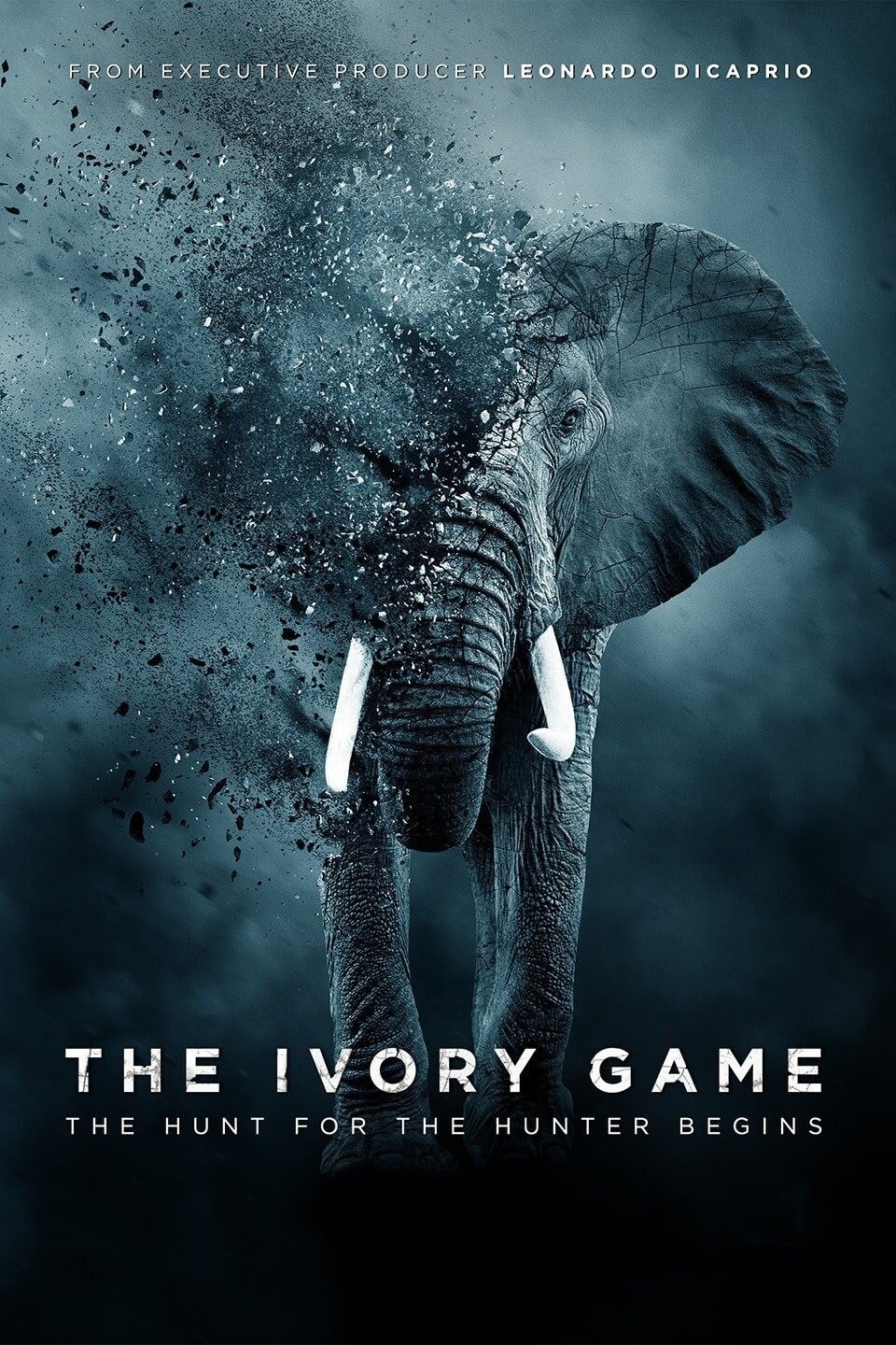 The Ivory Game | The Ivory Game