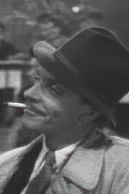 بازیگر Werner Degan  