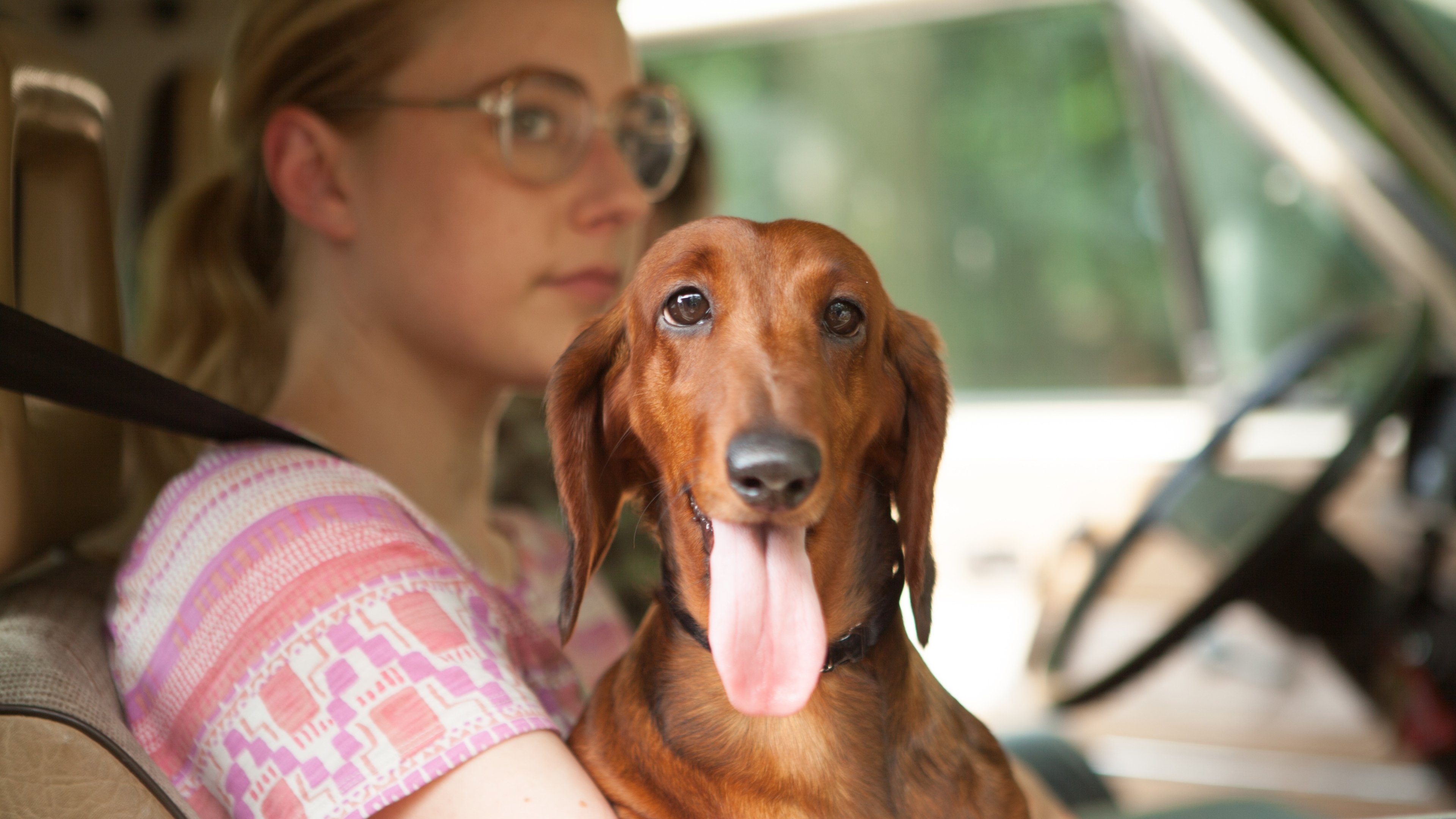 Wiener-Dog|Wiener-Dog