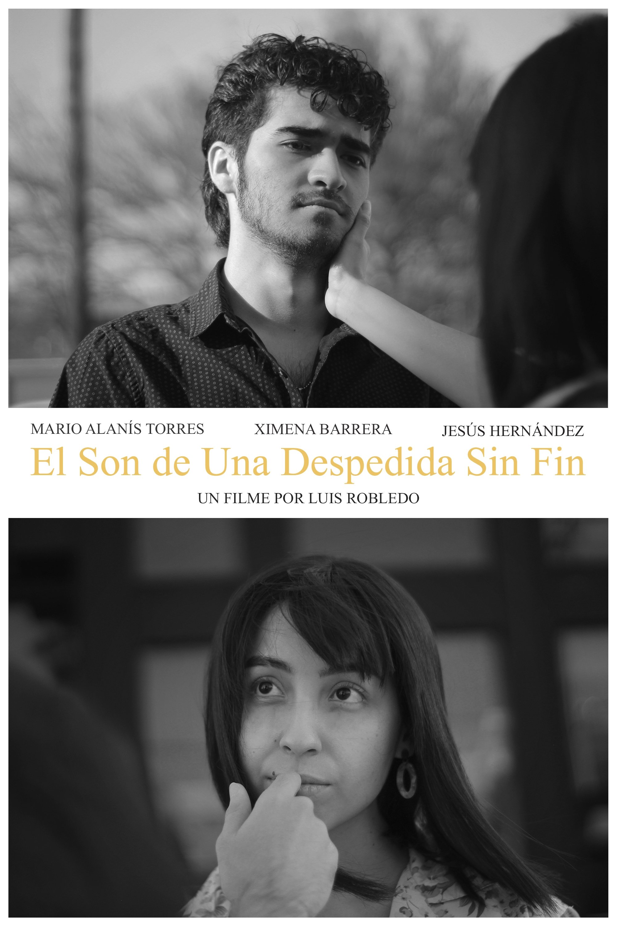 El Son de Una Despedida Sin Fin | El Son de Una Despedida Sin Fin