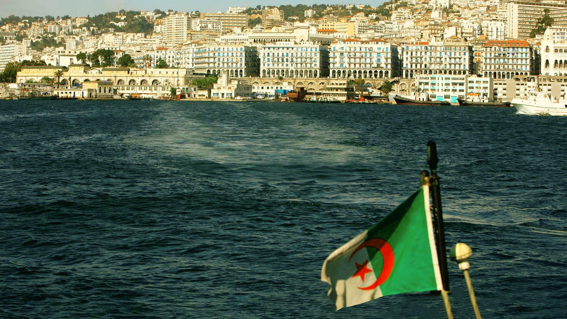 تصویر 0