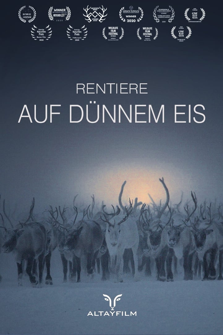 Rentiere auf dünnem Eis | Rentiere auf dünnem Eis