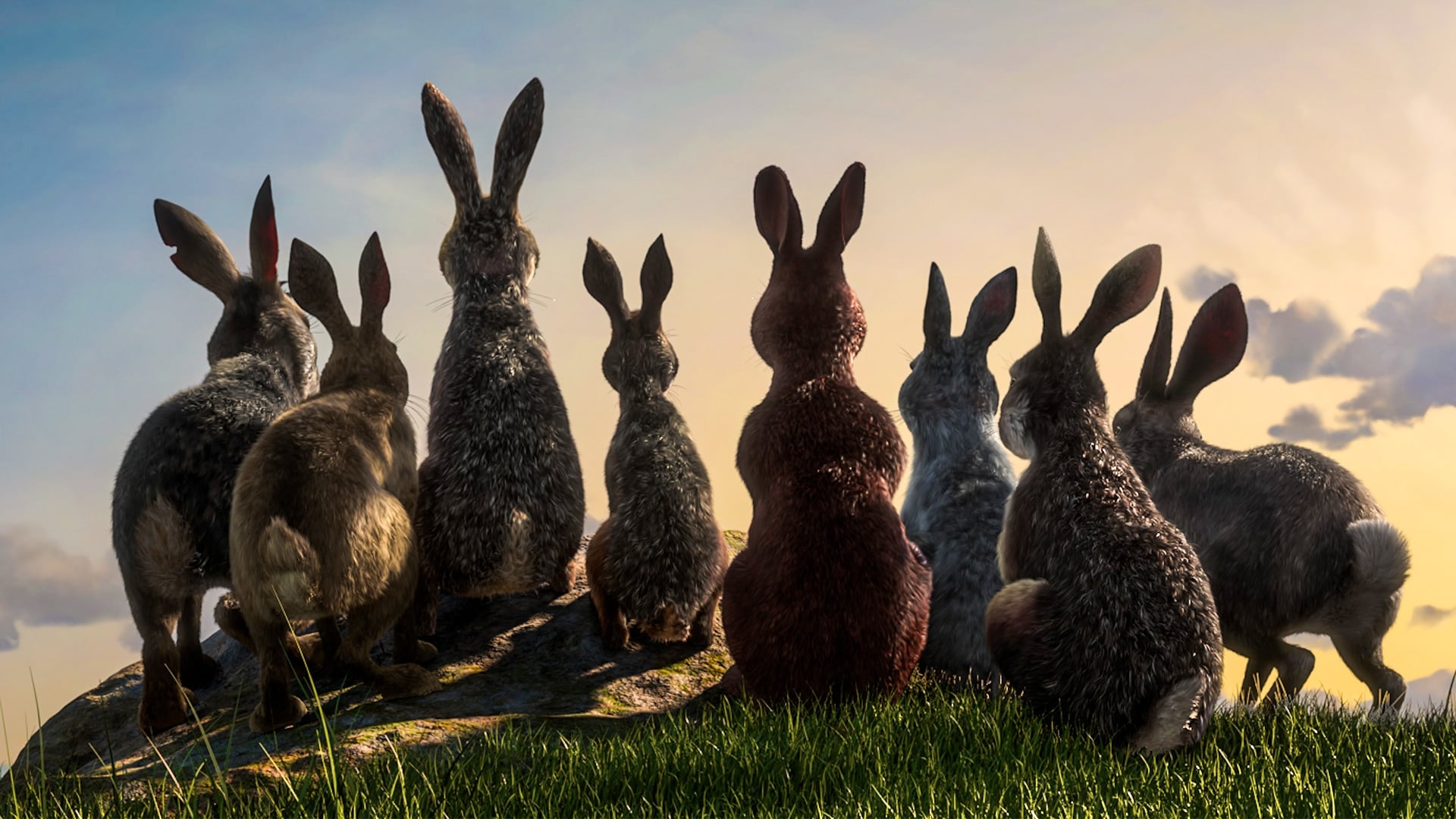 Watership Down|Watership Down