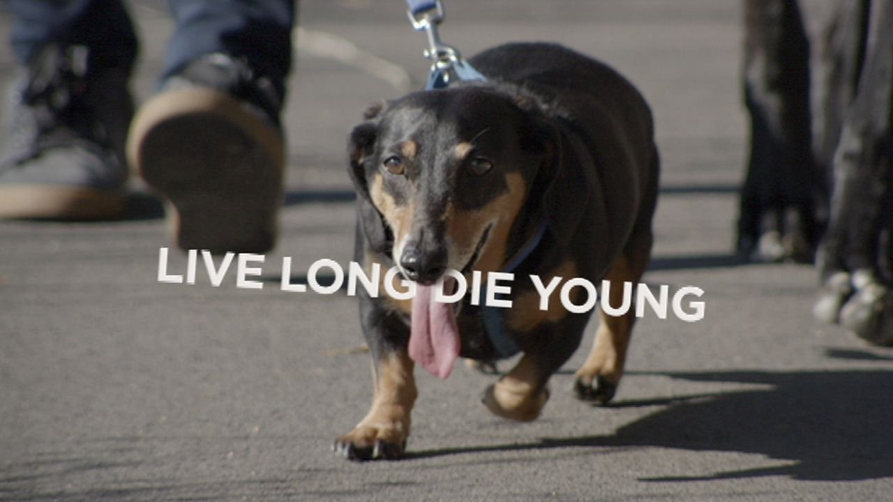 Live Long Die Young|Live Long Die Young