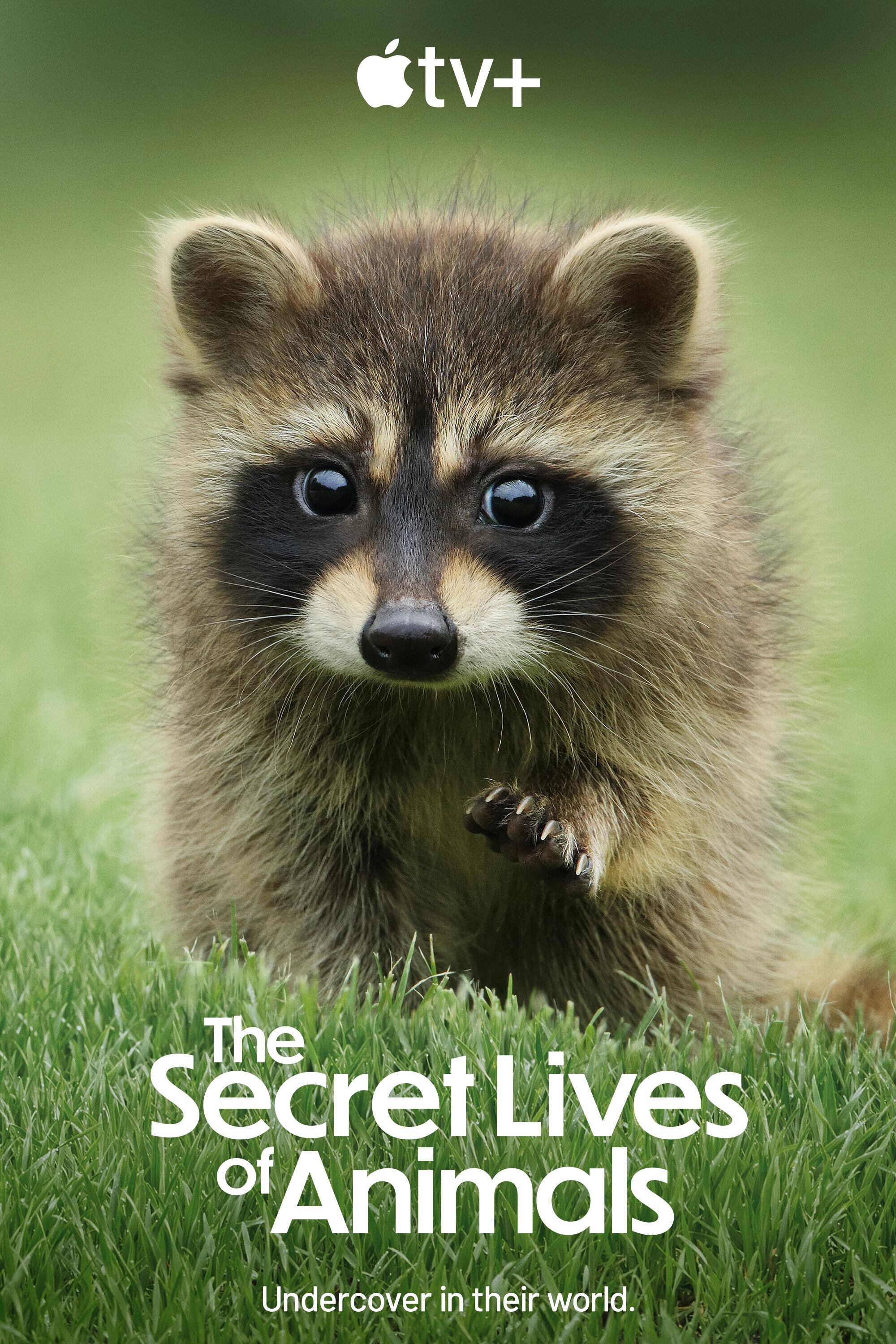 The Secret Lives of Animals | The Secret Lives of Animals