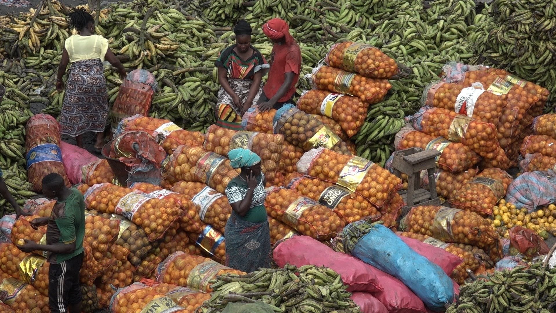 L'Afrique des femmes|L'Afrique des femmes