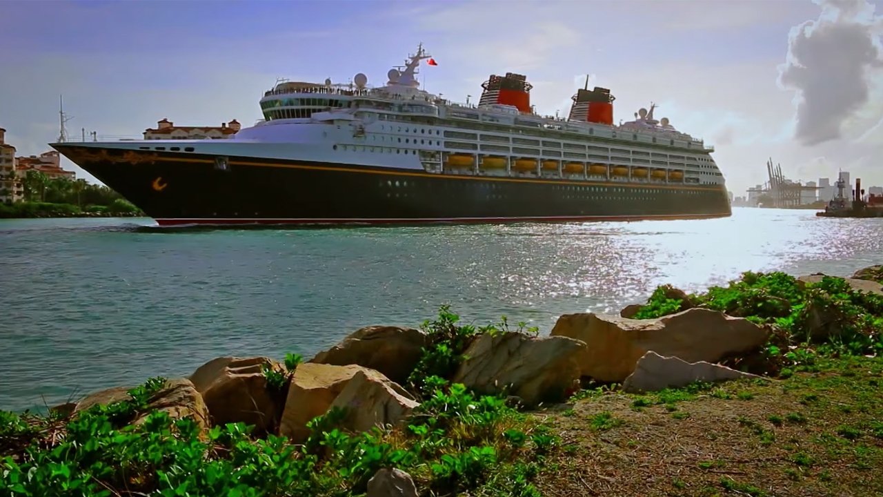 The Wrong Cruise|The Wrong Cruise