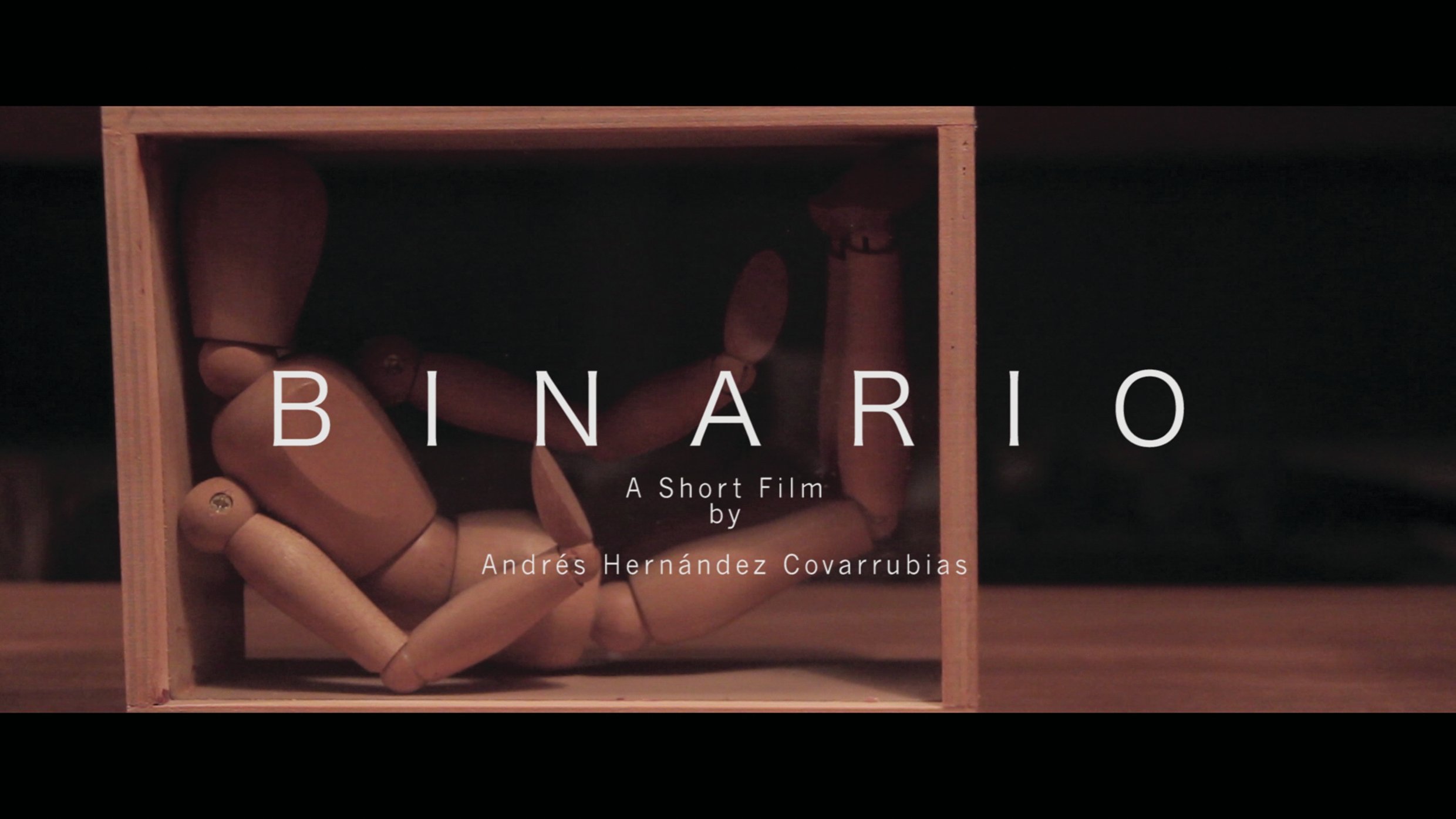 Binario|Binario