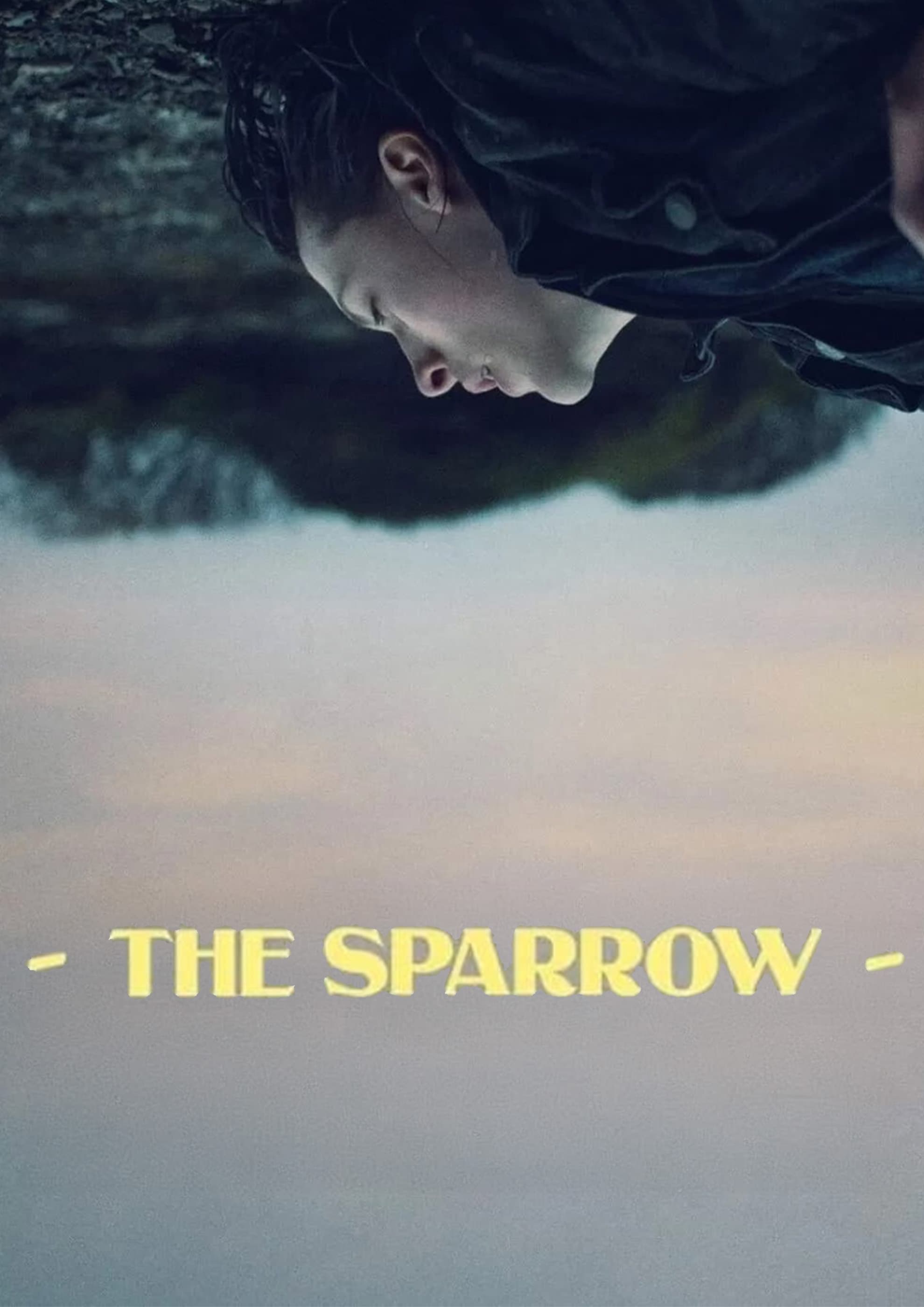 The Sparrow | The Sparrow