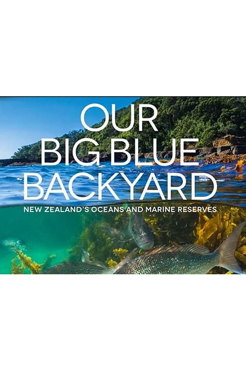 Our Big Blue Backyard | Our Big Blue Backyard