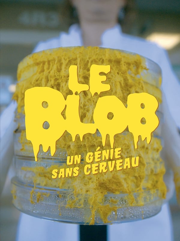 Le Blob, un génie sans cerveau | Le Blob, un génie sans cerveau