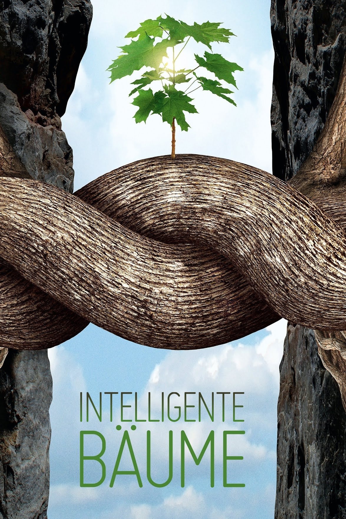 Intelligente Bäume | Intelligente Bäume