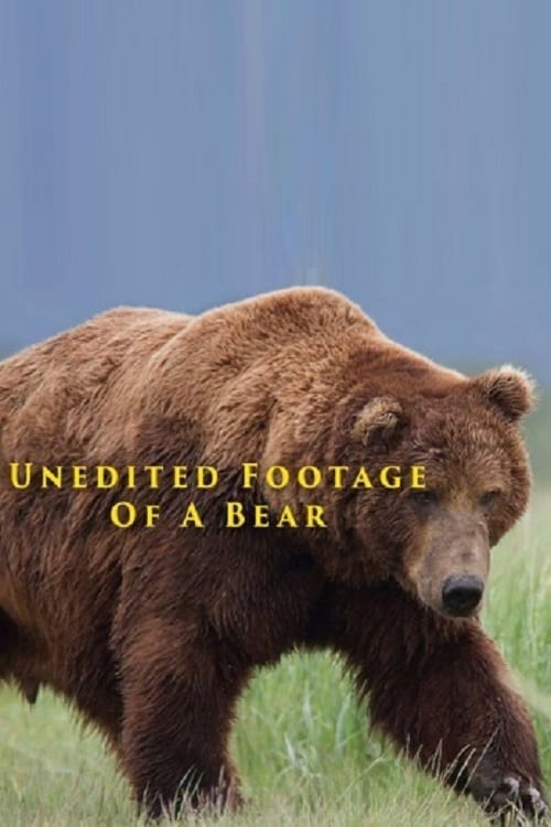 Unedited Footage of a Bear | Unedited Footage of a Bear