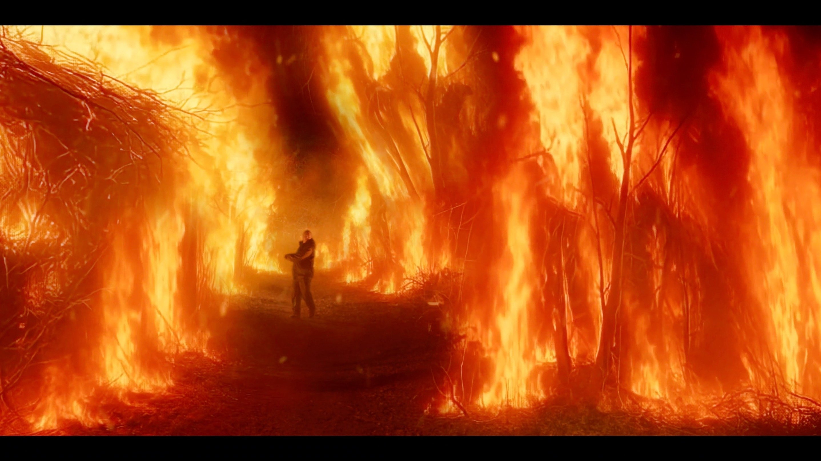 Embers|Embers