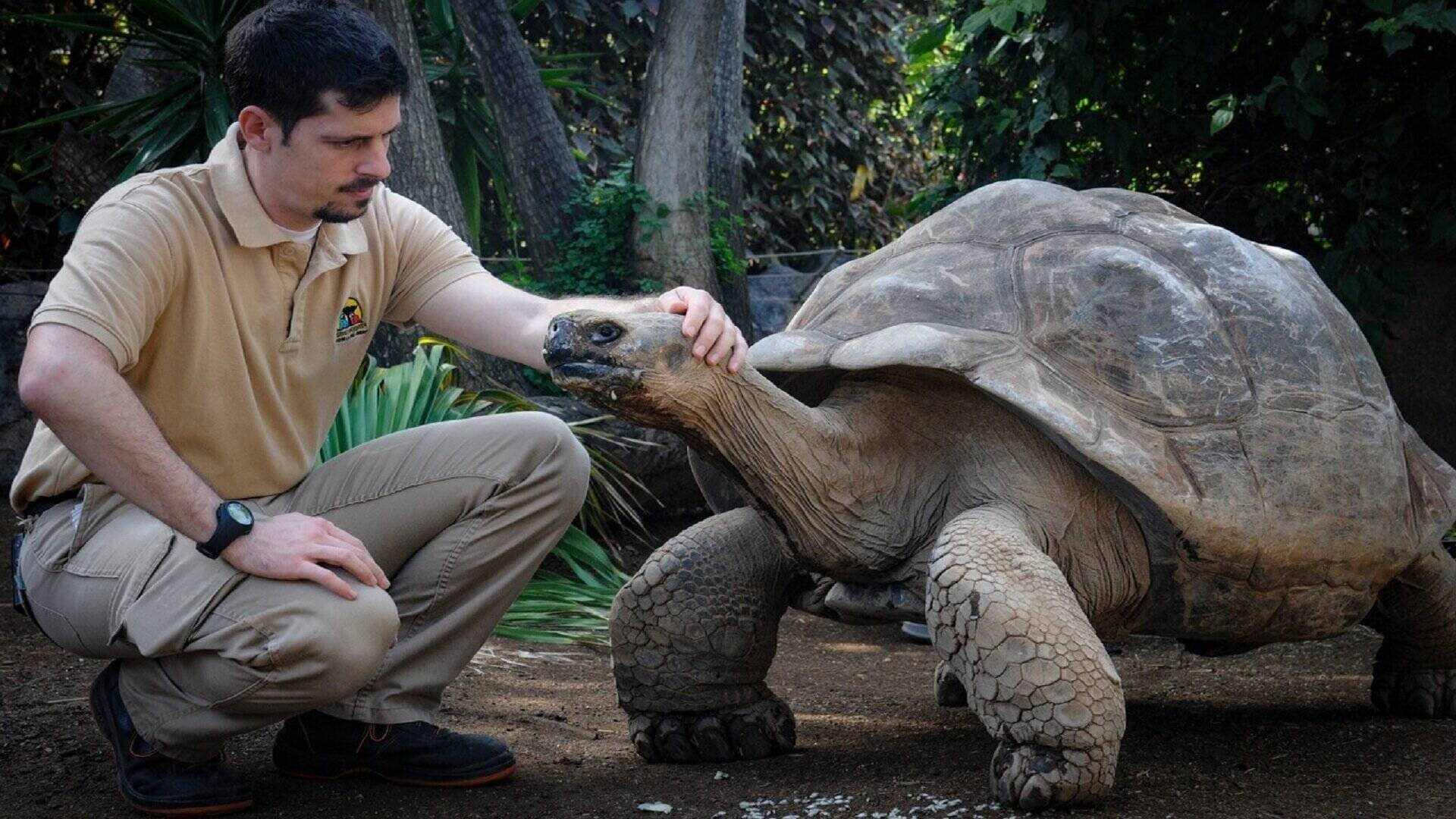 Animal Embassy|Animal Embassy