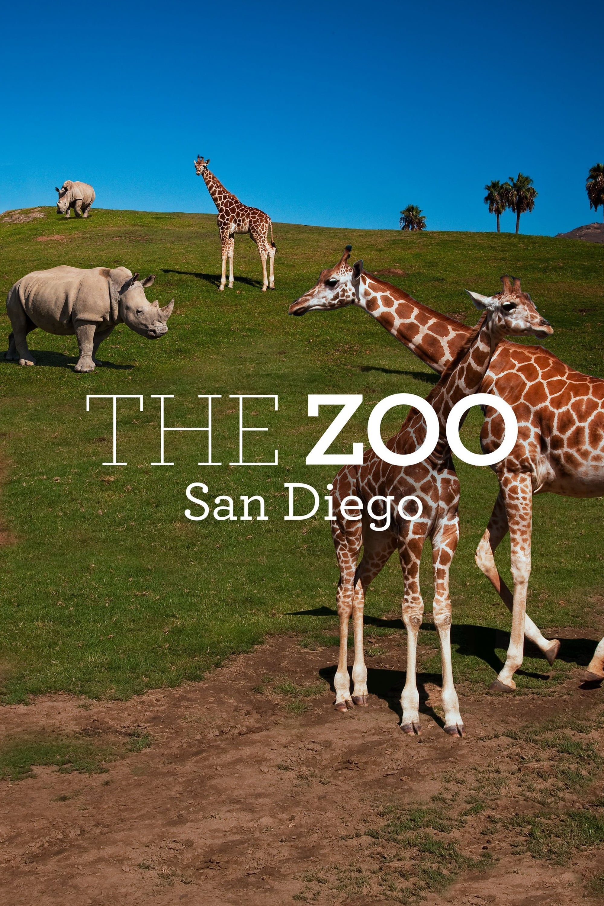 The Zoo: San Diego | The Zoo: San Diego