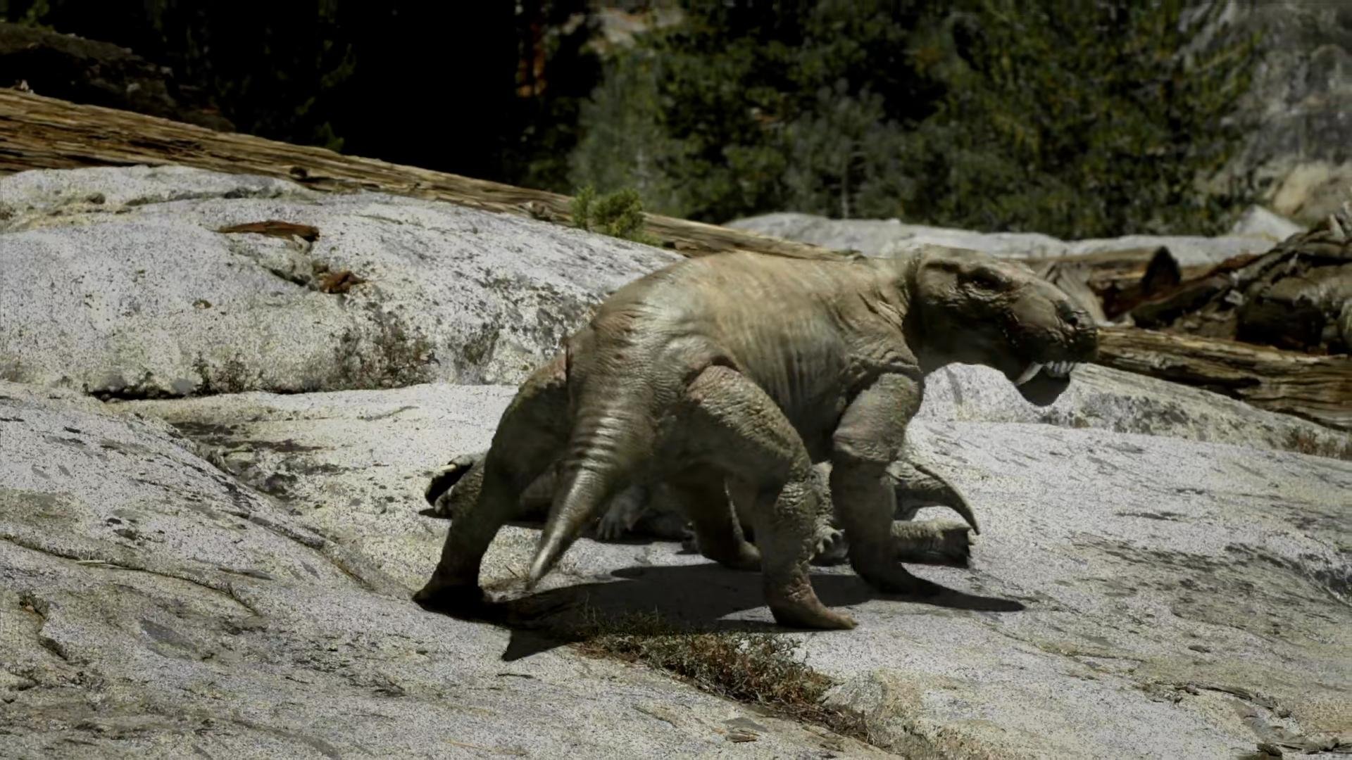 Leaps In Evolution|Leaps In Evolution