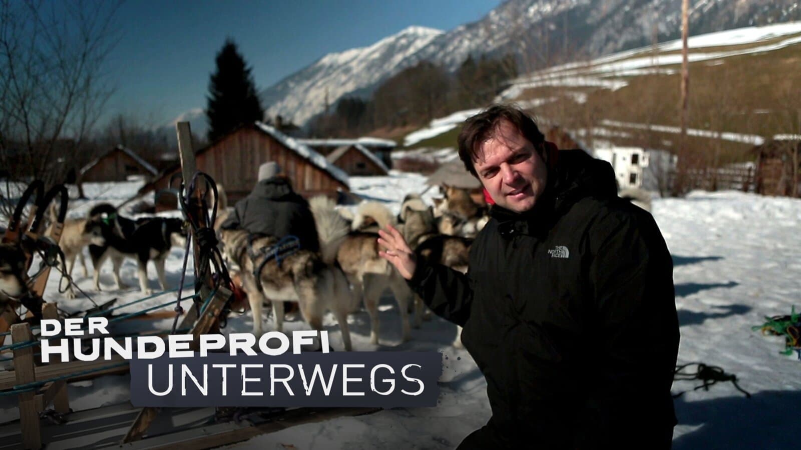 Der Hundeprofi unterwegs|Der Hundeprofi unterwegs