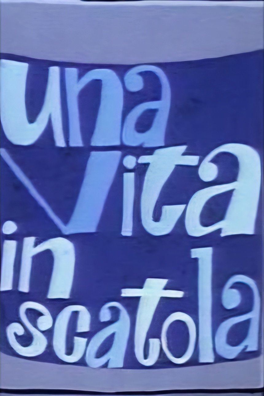 Una vita in scatola | Una vita in scatola
