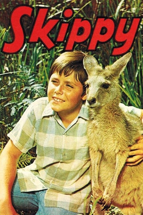 Skippy the Bush Kangaroo | Skippy the Bush Kangaroo