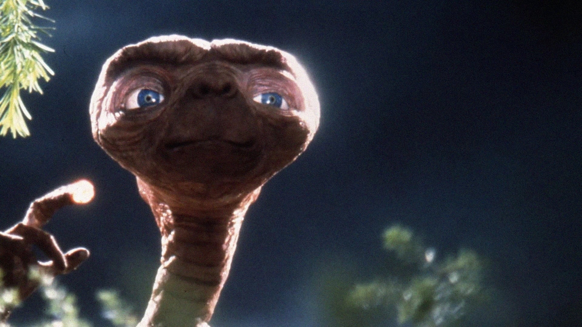 « E. T. », un blockbuster intime|« E. T. », un blockbuster intime