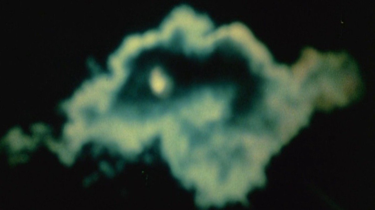 The Cat of the Worm's Green Realm|The Cat of the Worm's Green Realm