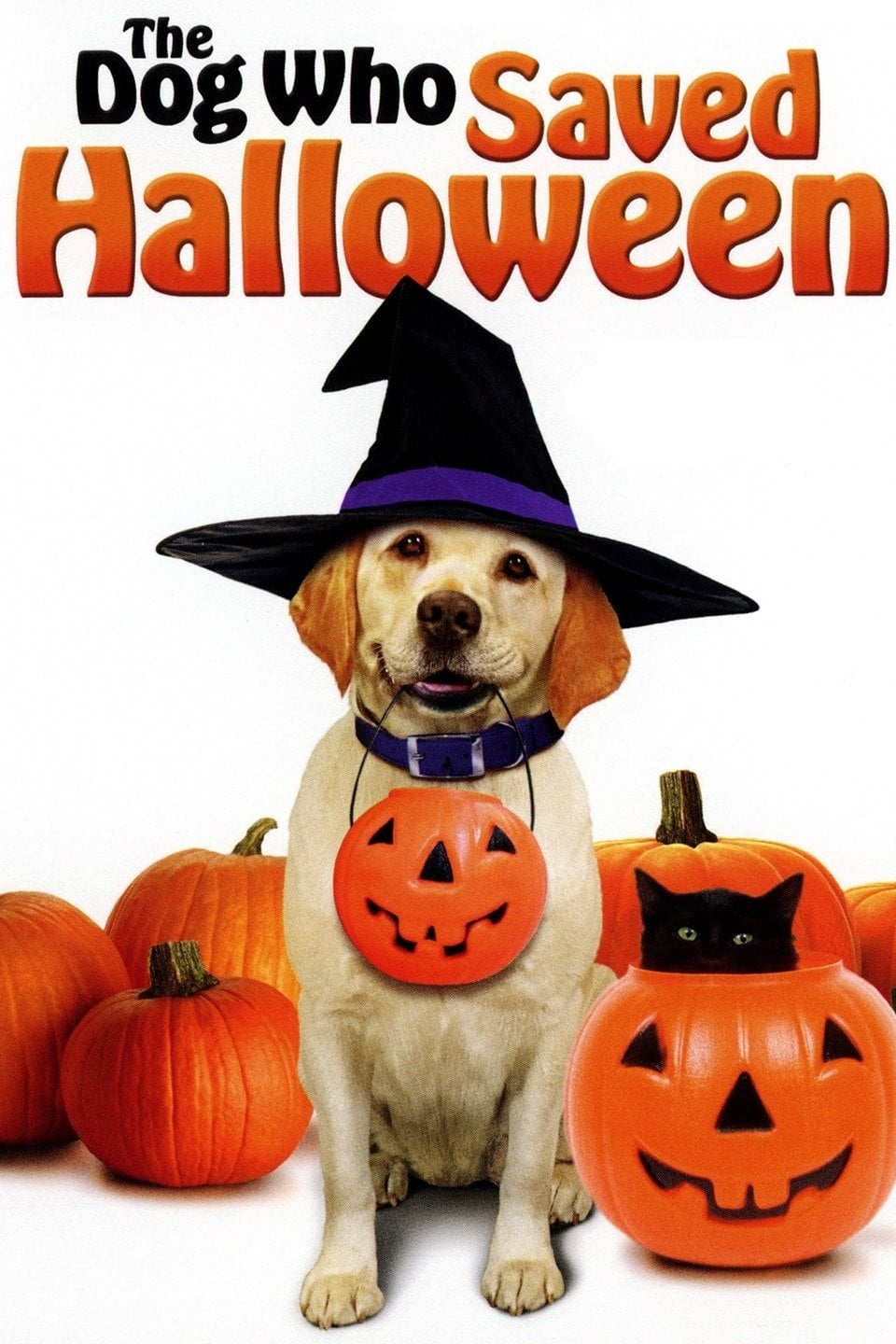 The Dog Who Saved Halloween | The Dog Who Saved Halloween