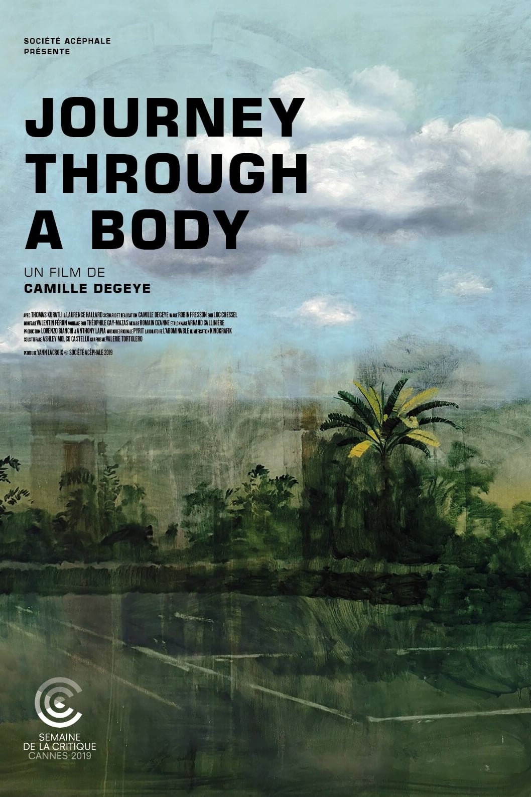 Journey Through a Body | Journey Through a Body