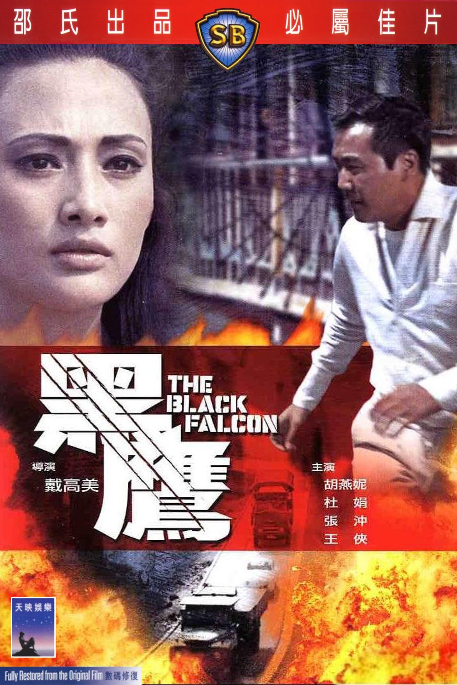 黑鷹 | 黑鷹
