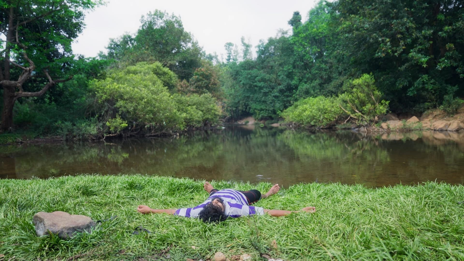 കാട് വെട്ടിയ വിവരം ആദ്യം അറിഞ്ഞത് മരംകൊത്തികളായിരുന്നു|കാട് വെട്ടിയ വിവരം ആദ്യം അറിഞ്ഞത് മരംകൊത്തികളായിരുന്നു