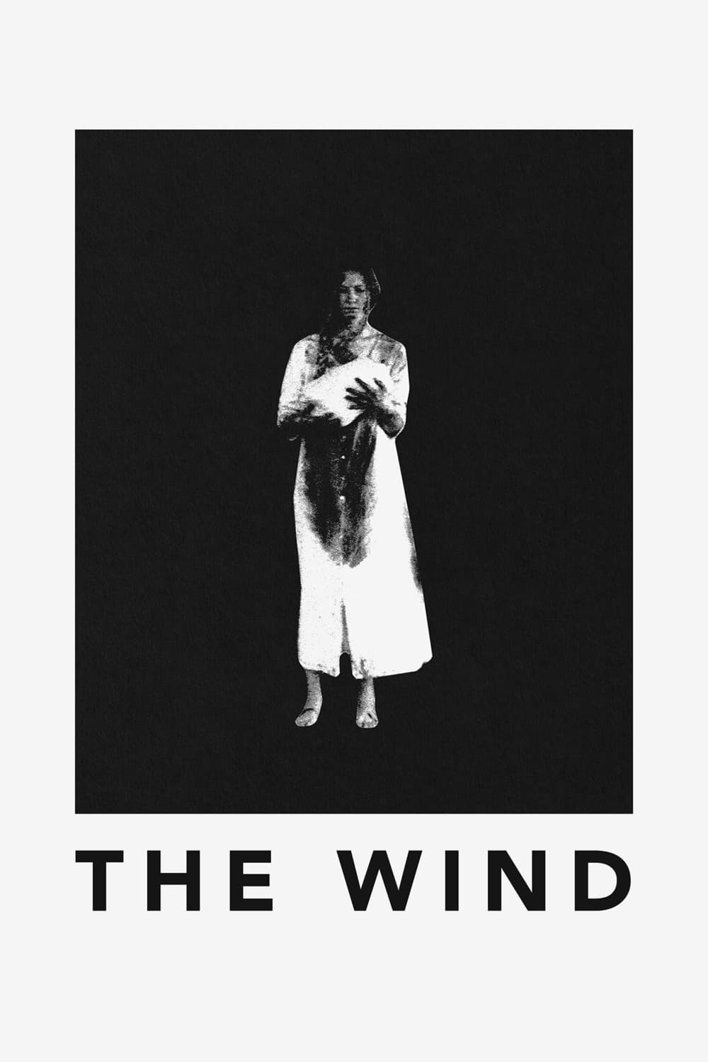 The Wind | The Wind