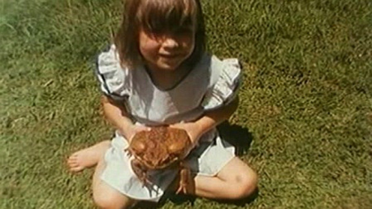 Cane Toads: An Unnatural History|Cane Toads: An Unnatural History