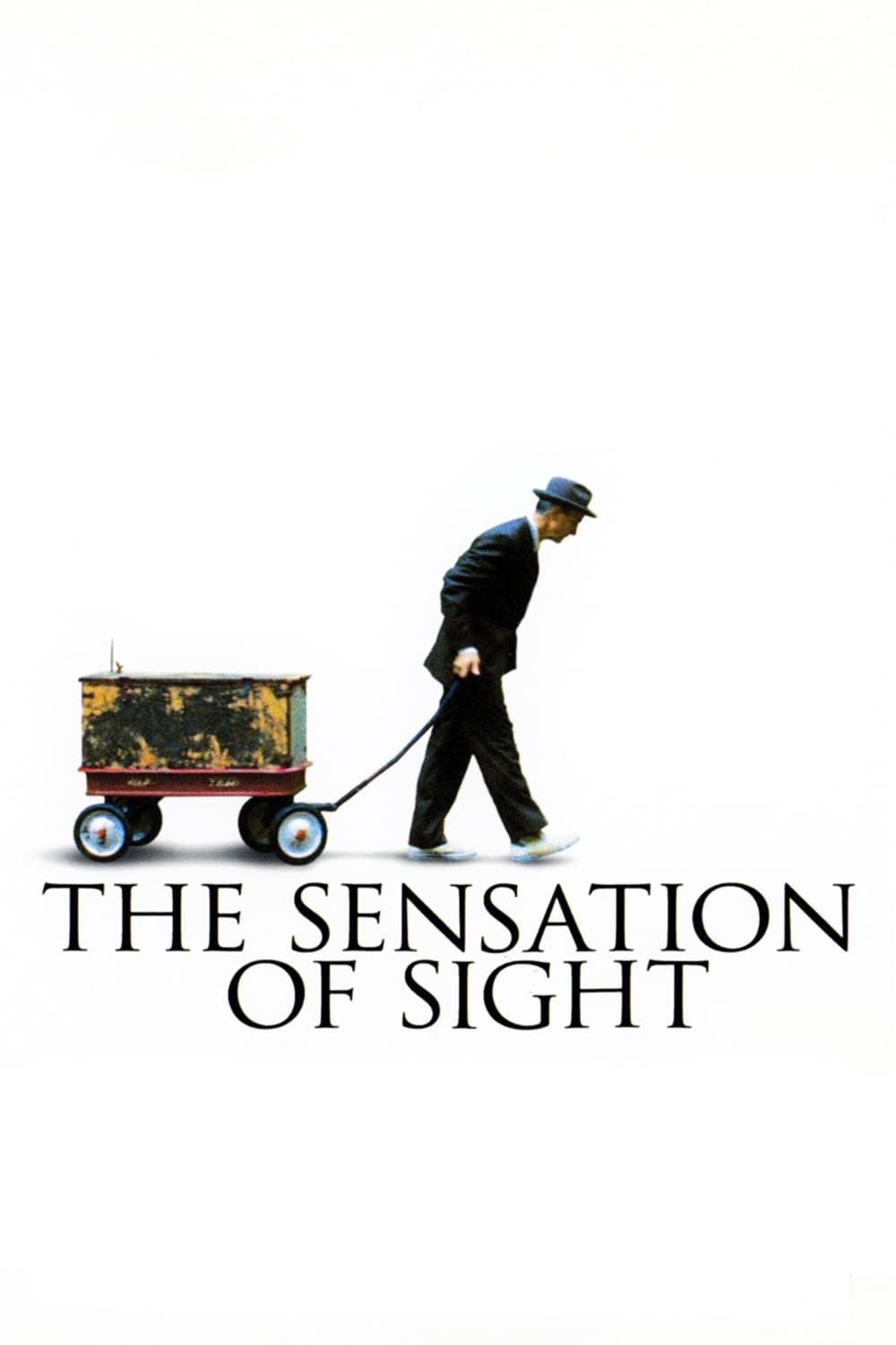 The Sensation of Sight | The Sensation of Sight