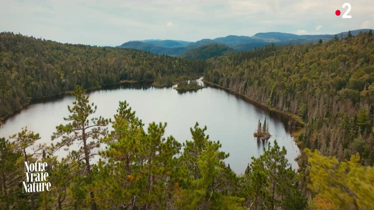 Notre vraie nature|Notre vraie nature