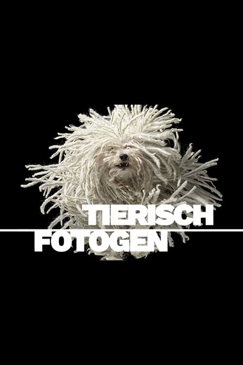 Tierisch fotogen | Tierisch fotogen