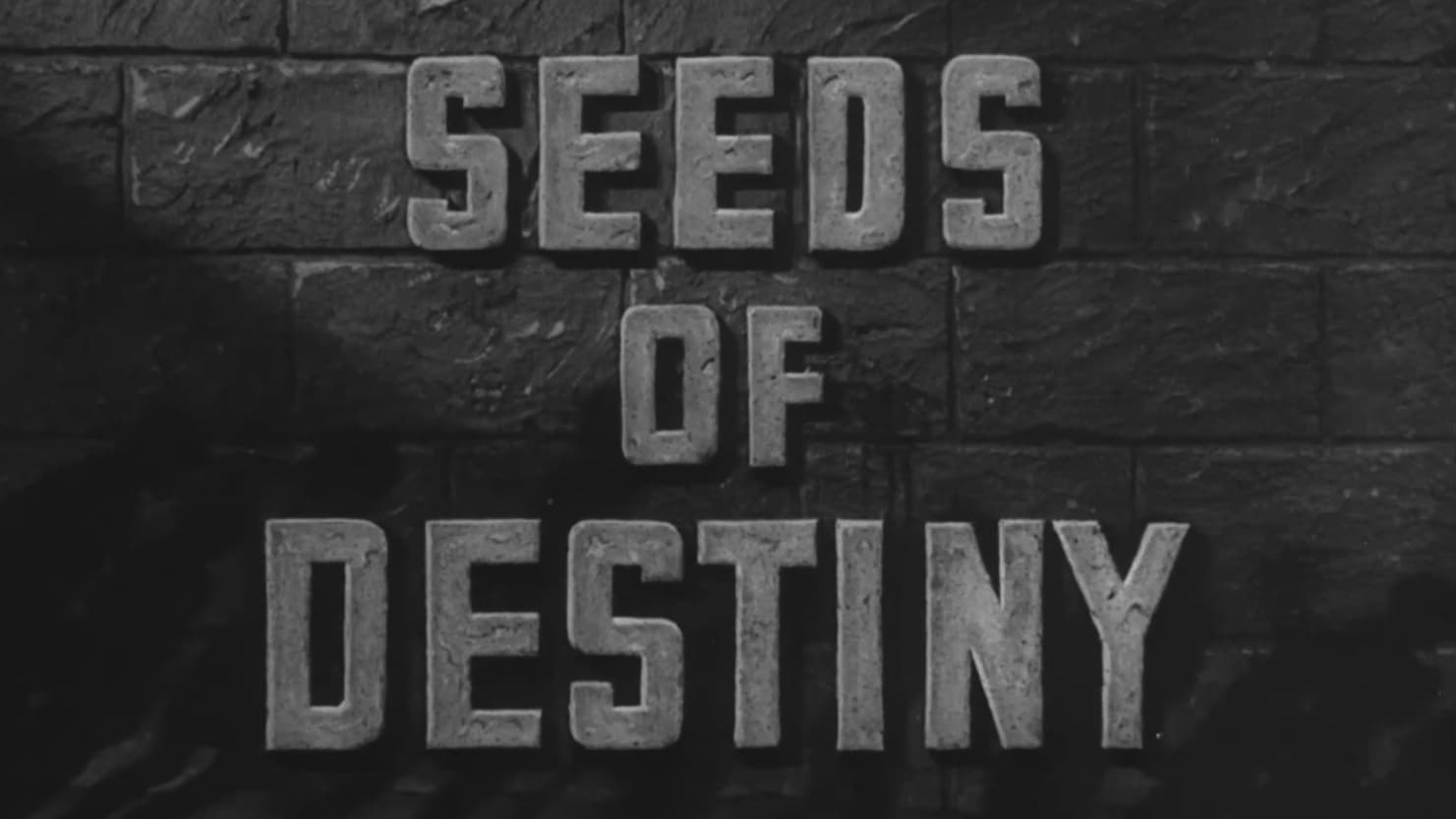 Seeds of Destiny|Seeds of Destiny