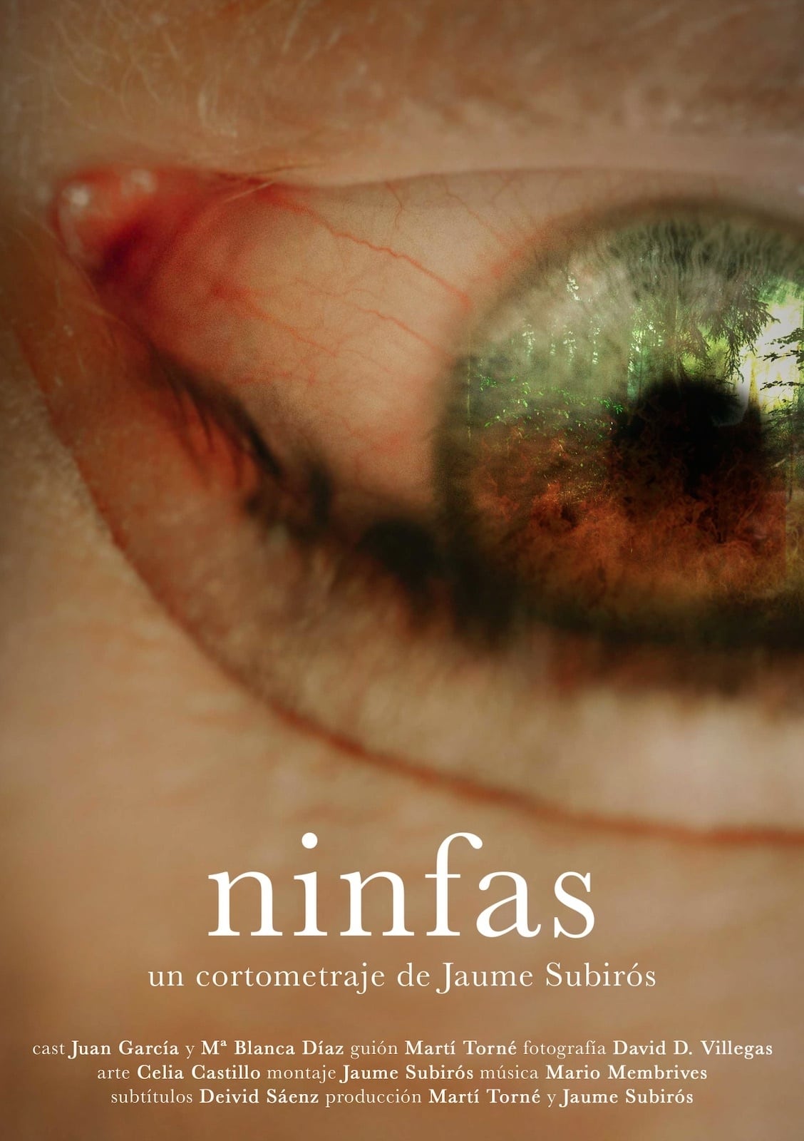 Ninfas | Ninfas