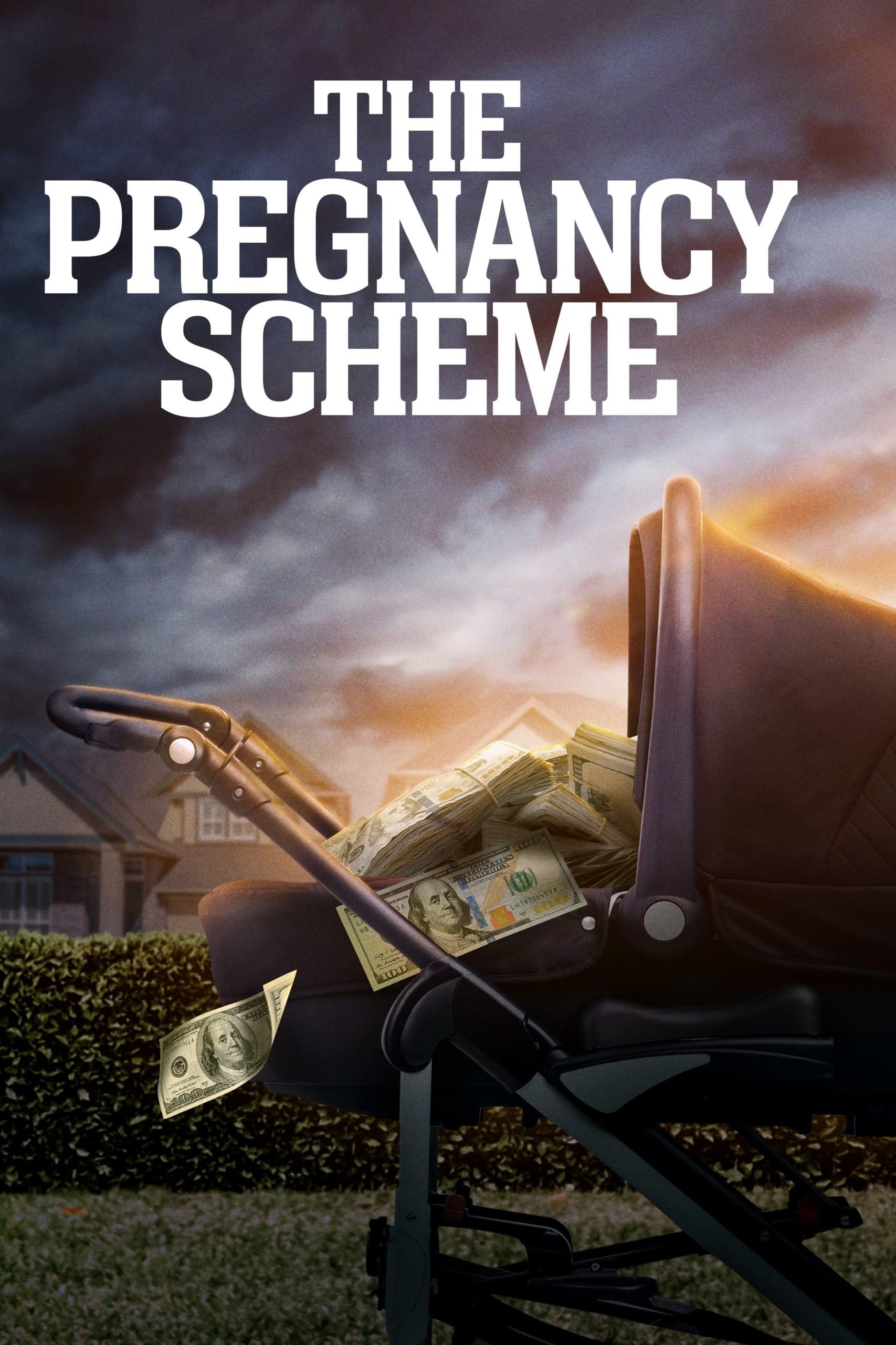 The Pregnancy Scheme | The Pregnancy Scheme