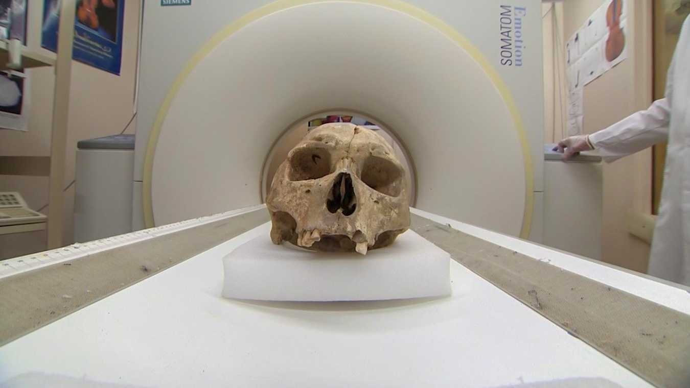 Forensic Firsts|Forensic Firsts