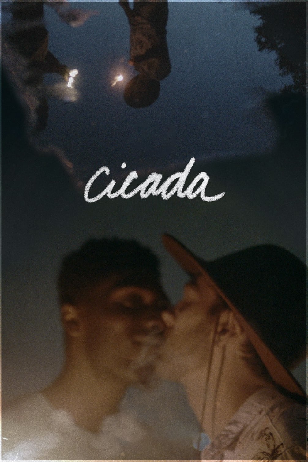 Cicada | Cicada