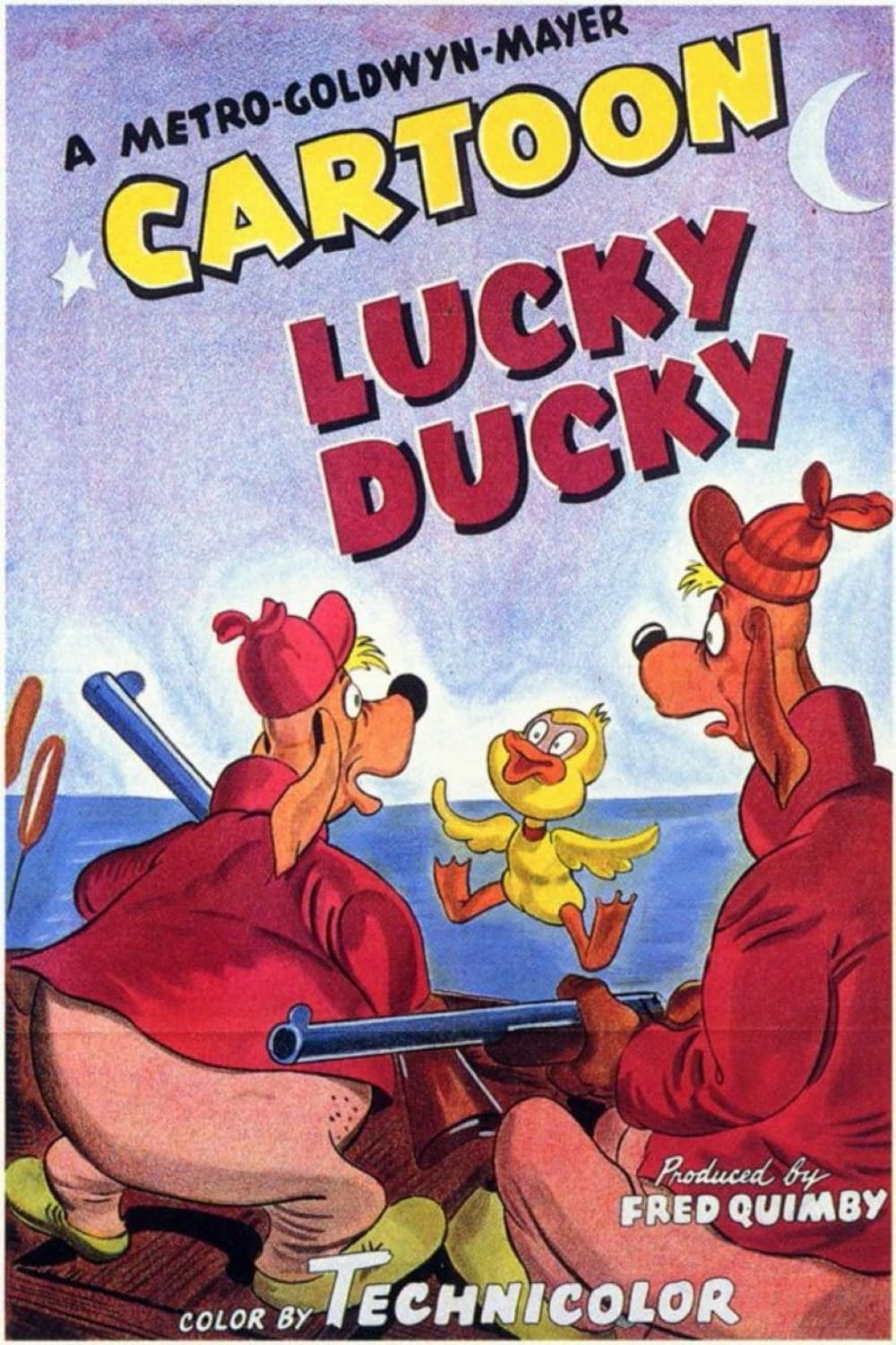 Lucky Ducky | Lucky Ducky