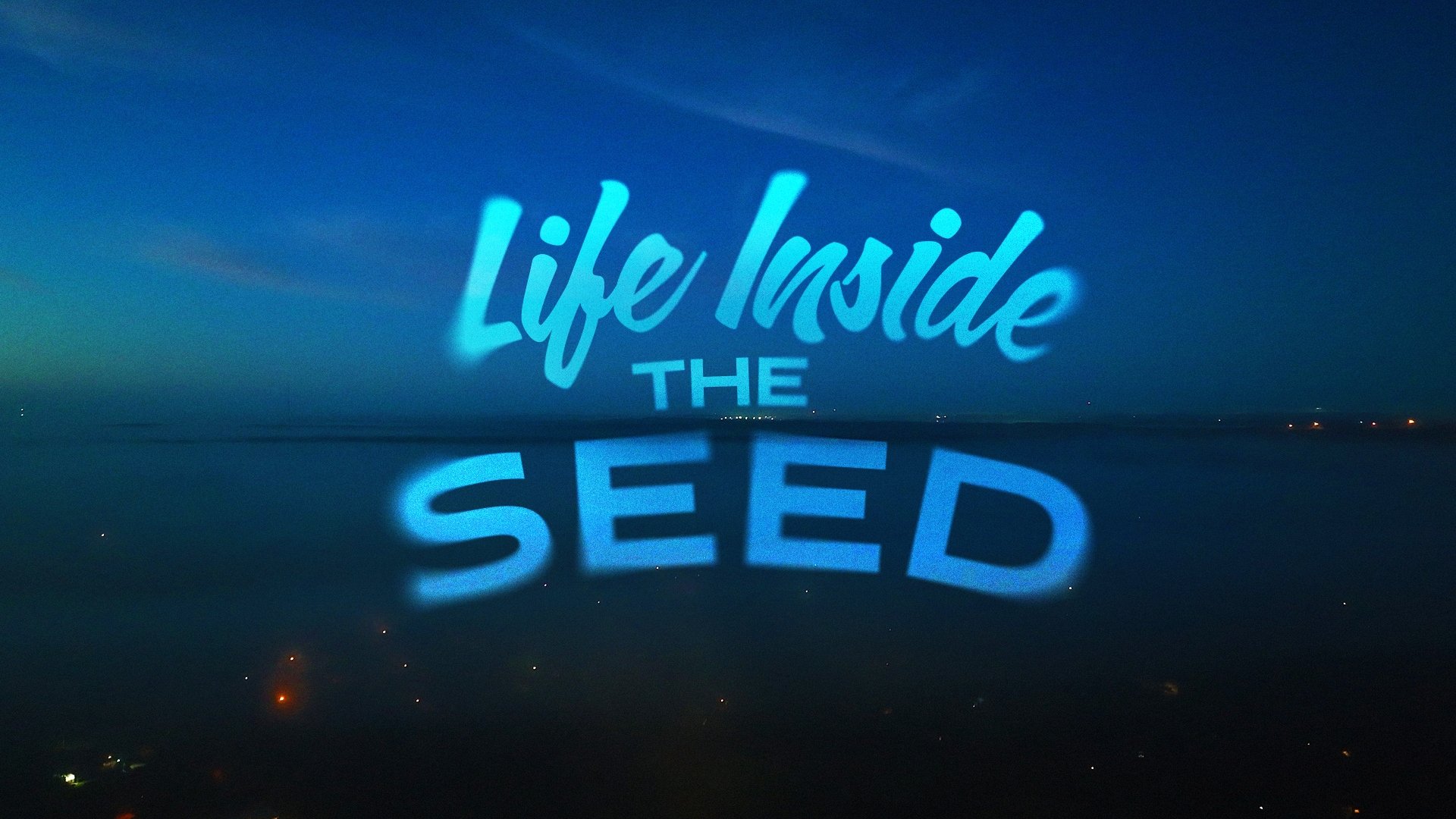 Life Inside the Seed|Life Inside the Seed