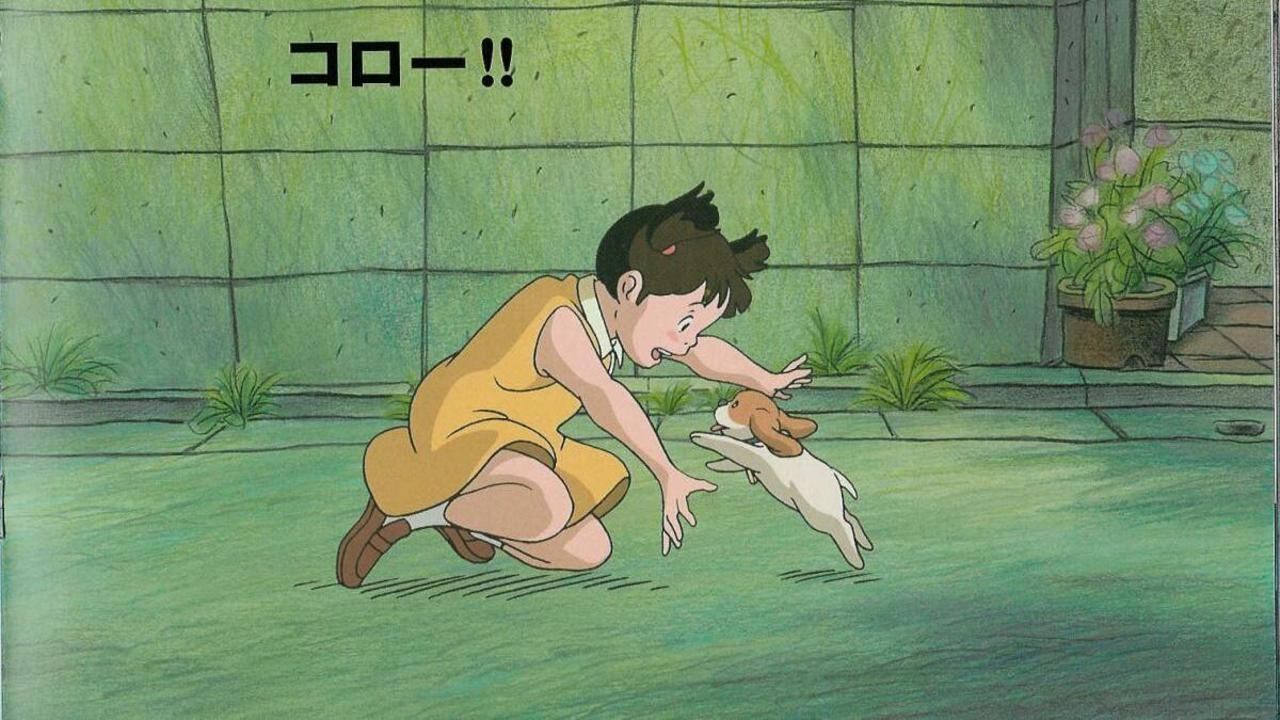 コロの大さんぽ|コロの大さんぽ