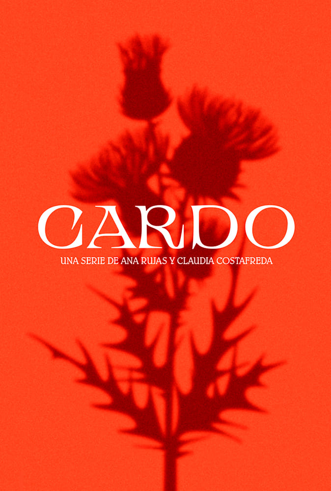 Cardo | Cardo